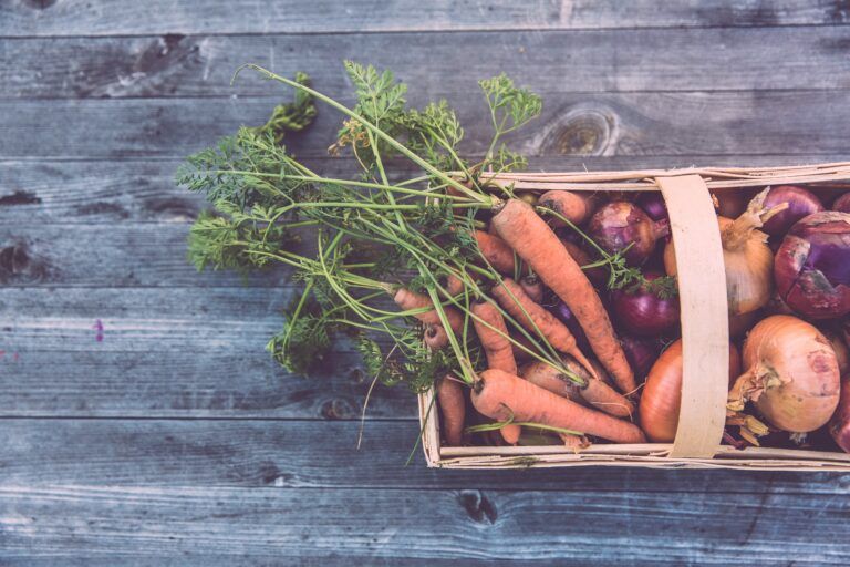 basket of carrots and onions