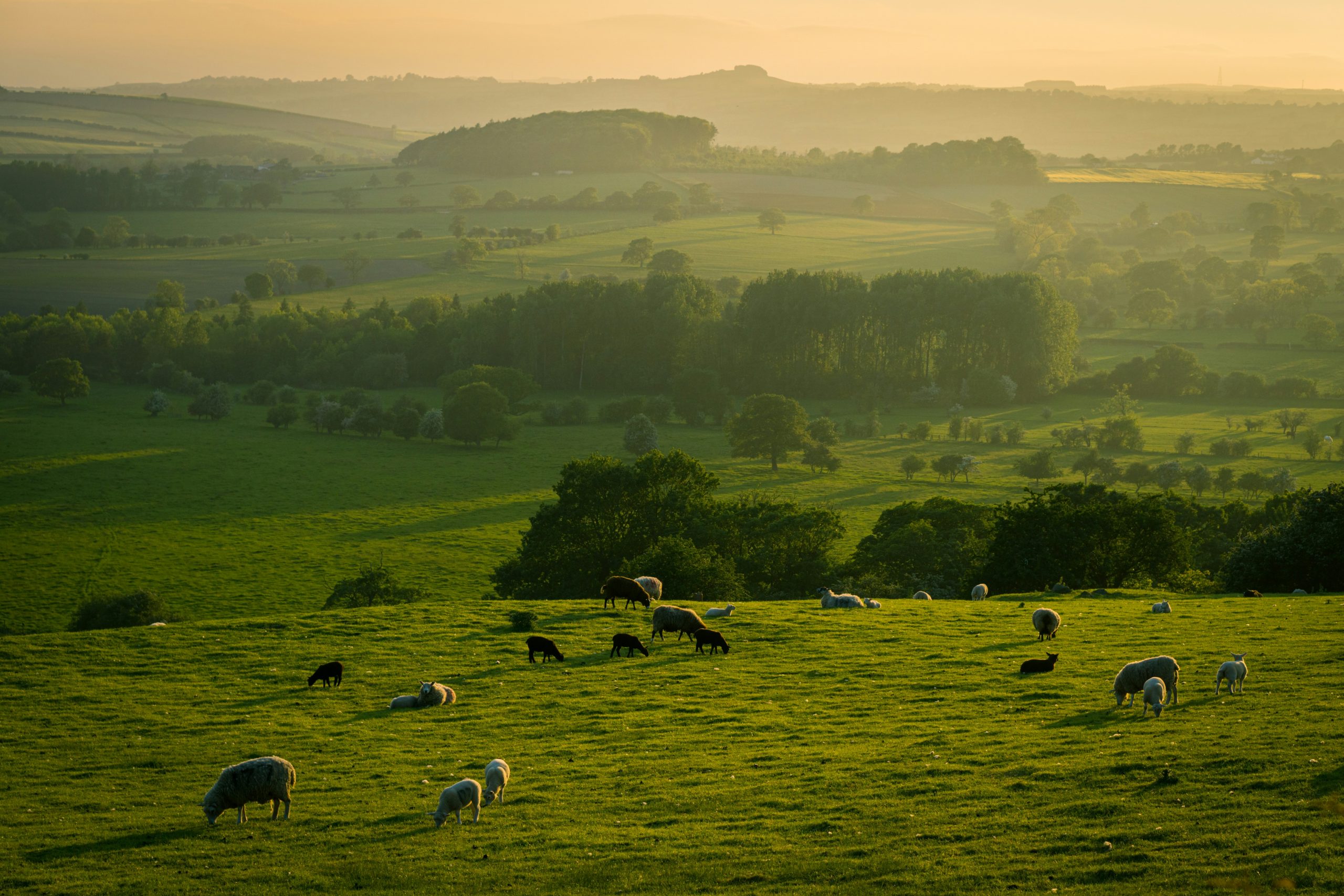 North Yorkshire Countryside