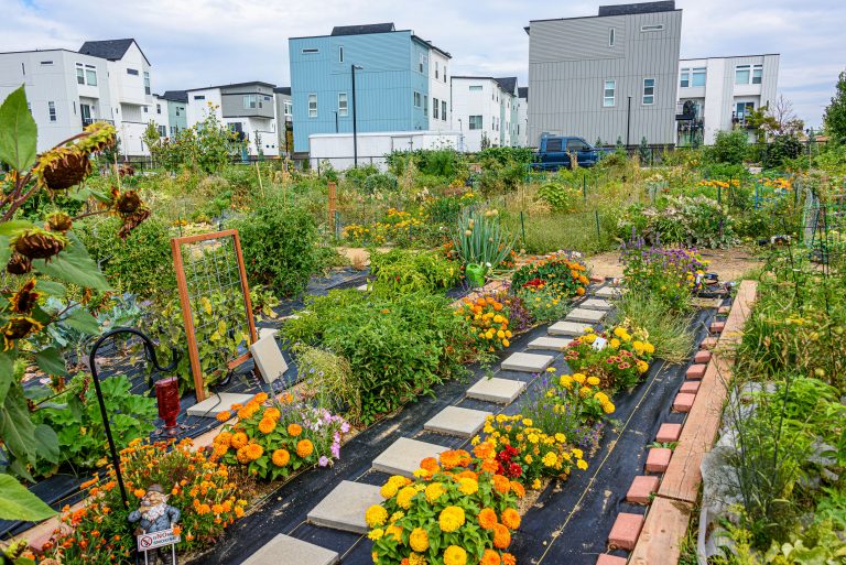 community garden